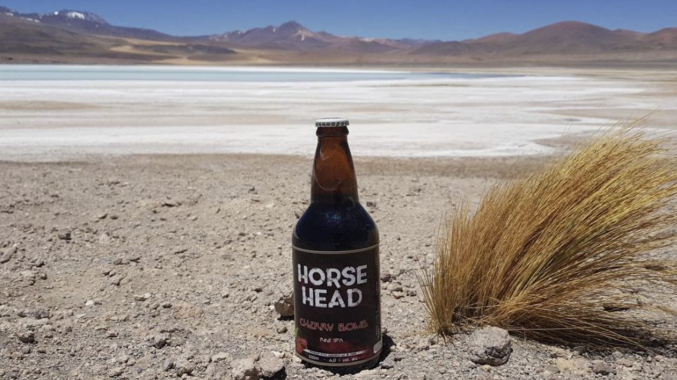 Horsehead — galeria